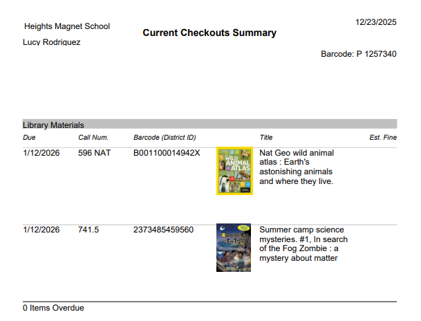 Current Checkouts Summary.